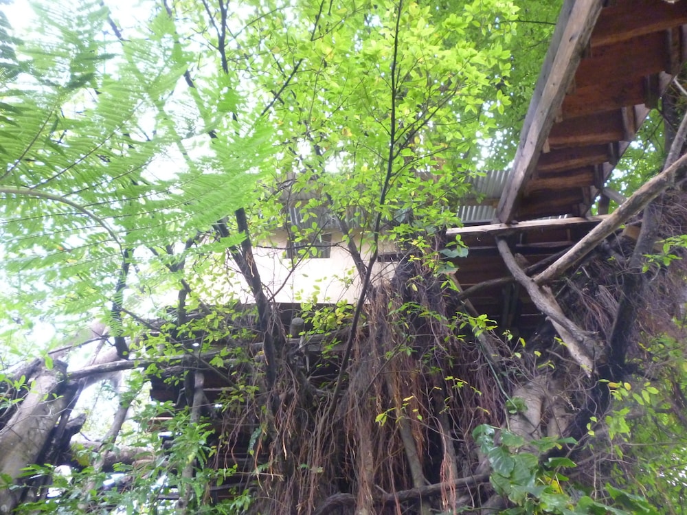 Castle Tree House