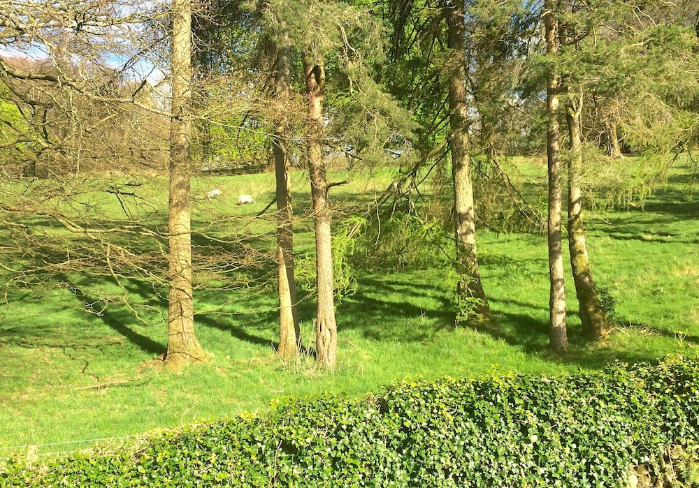Blenheim Lodge