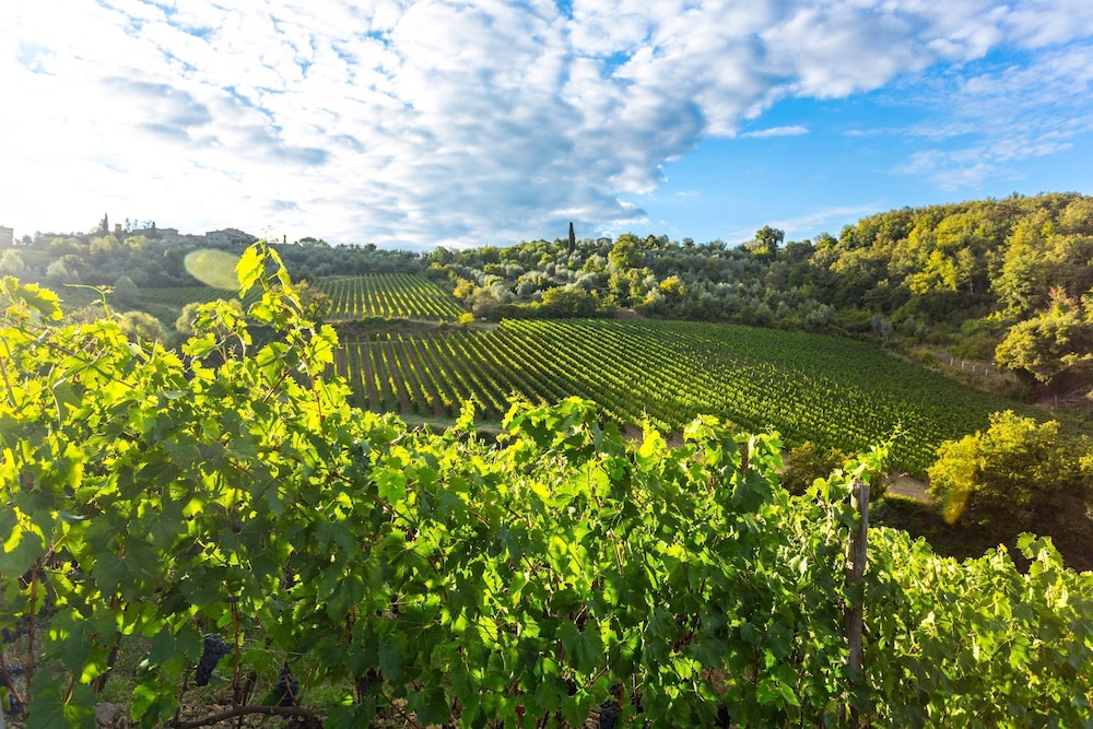 Fattoria Valtellina by Boutique Tuscany