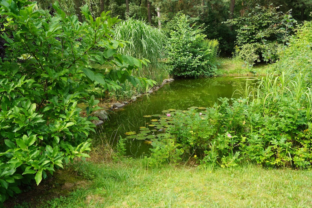 Waldhotel Boizenburg - Property Image 32