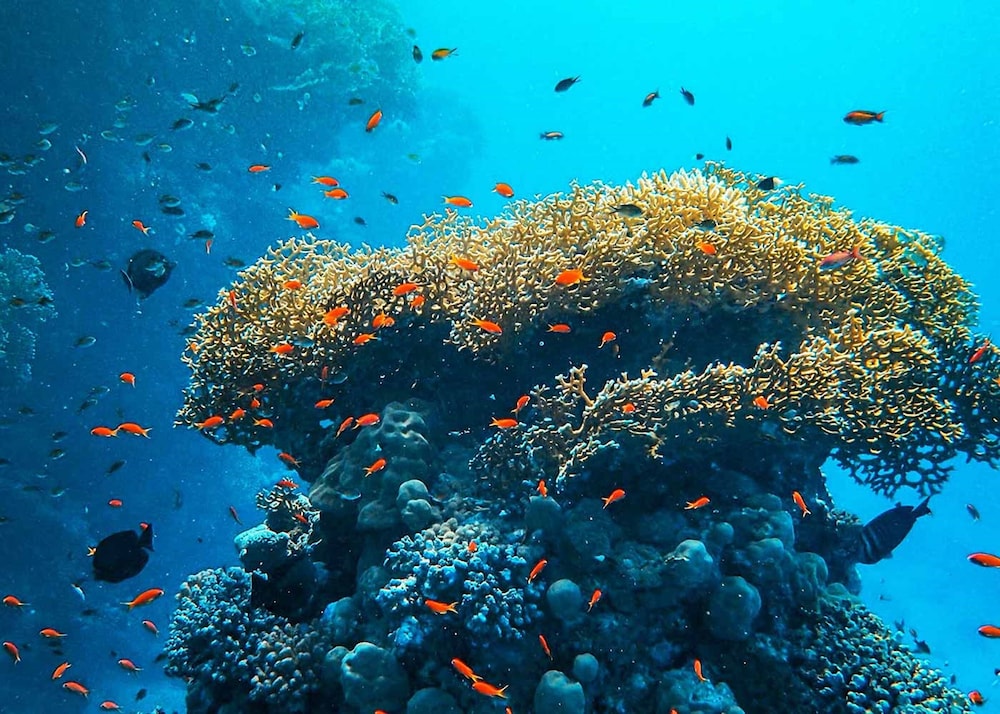 OBLU NATURE Helengeli - All-Inclusive with Free Transfers