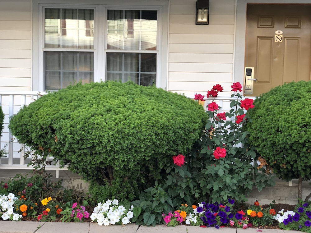 Boston Vacations - Chisholms Motor Inn - Property Image 3