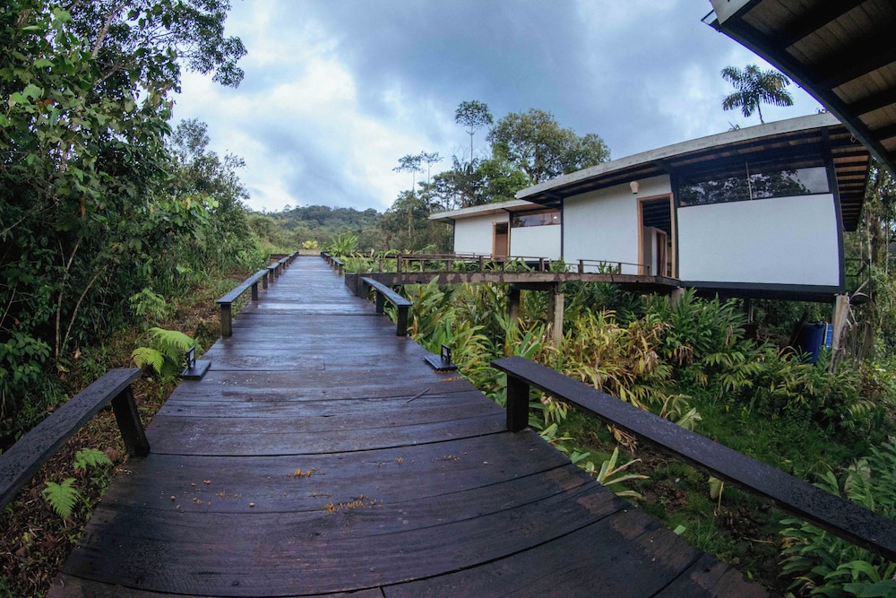 Cedro Amazon Lodge