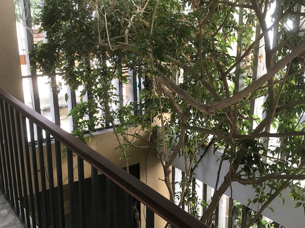 Villa Colombo Five