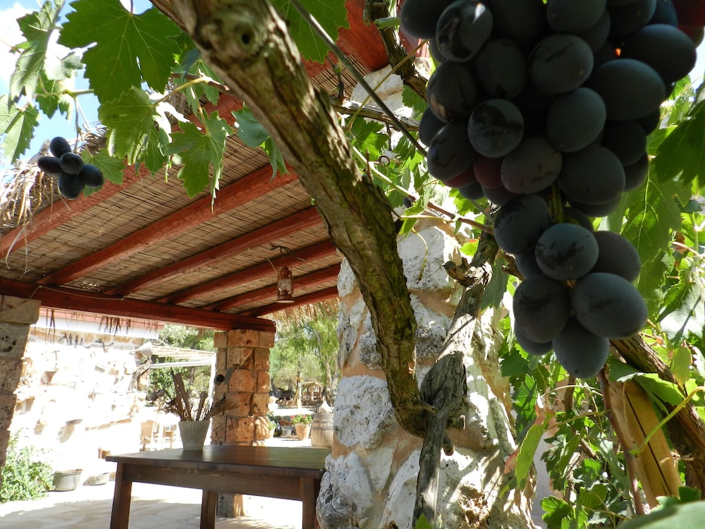 Macchia Salentina