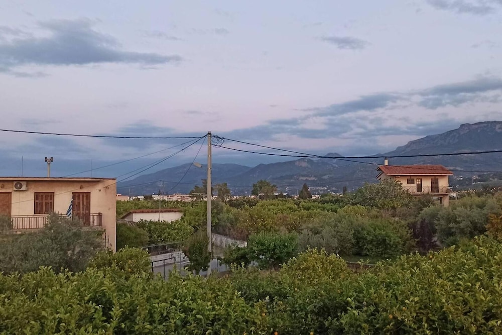 Photo 35
