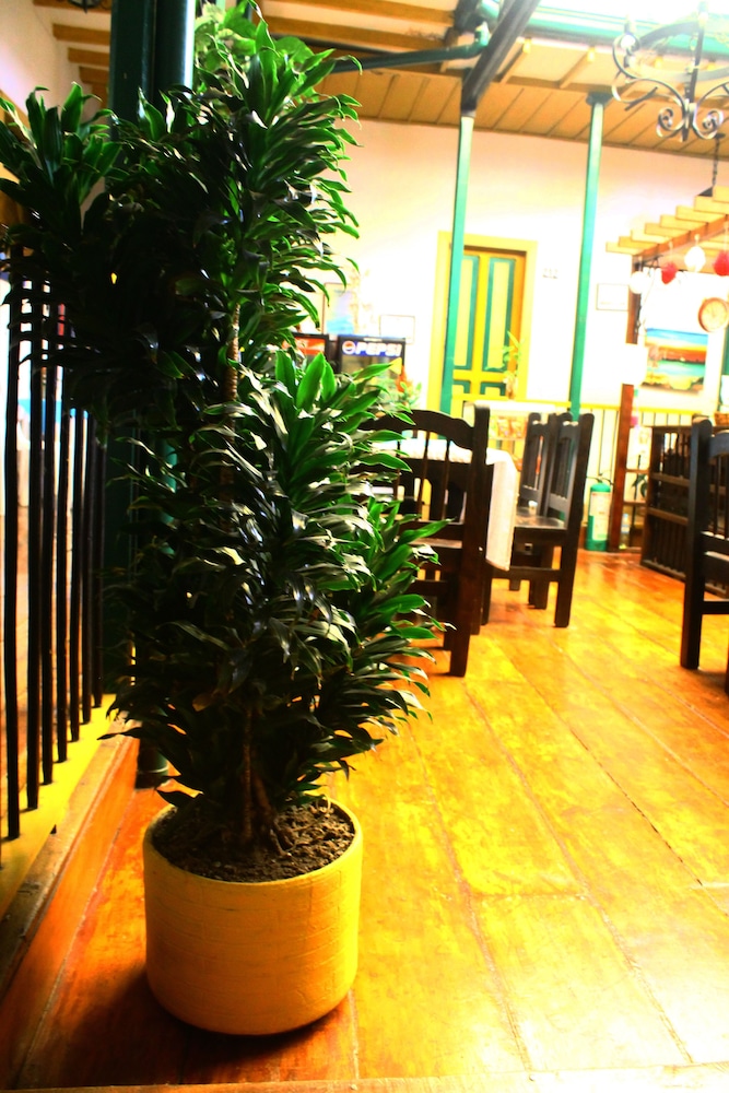 Hotel Geranios - Property Image 5