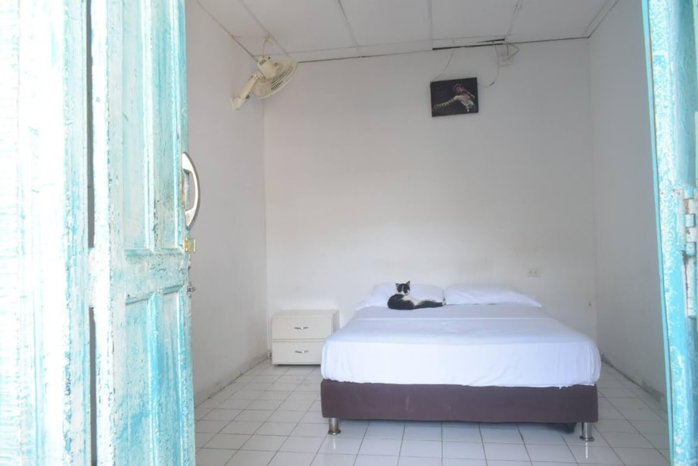 MANGO TREE HOSTEL 4 20