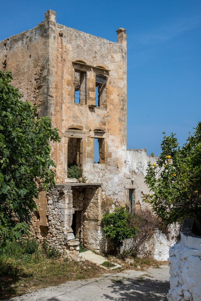 Photo 13