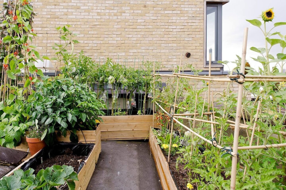 garden