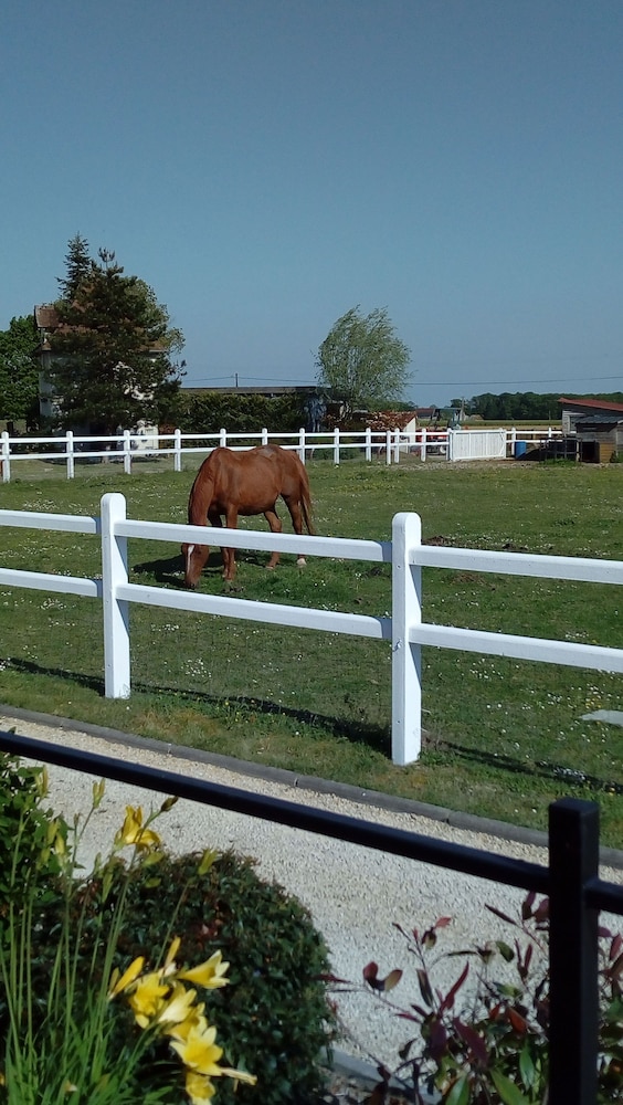 Camping Au Clos de Beaulieu