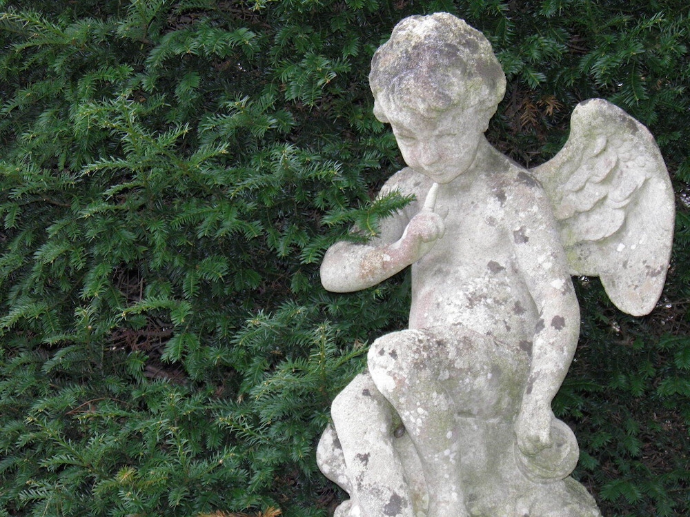 Photo 47