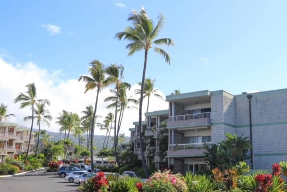 Enjoy the Sunset Ocean Front 1BR Apt-pool On-site