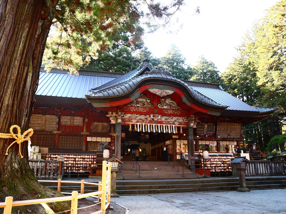 Hostel Fujisan YOU