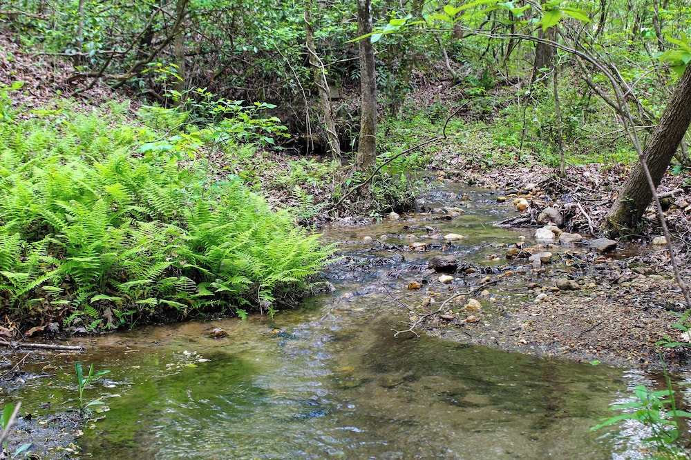 Sautee Nacoochee Mtn Paradise w/ Spacious Deck!
