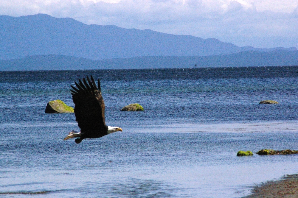 Qualicum Breeze Beach Resort