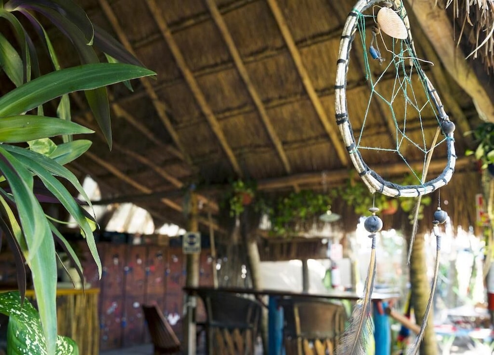 Kin Hostal and Camping