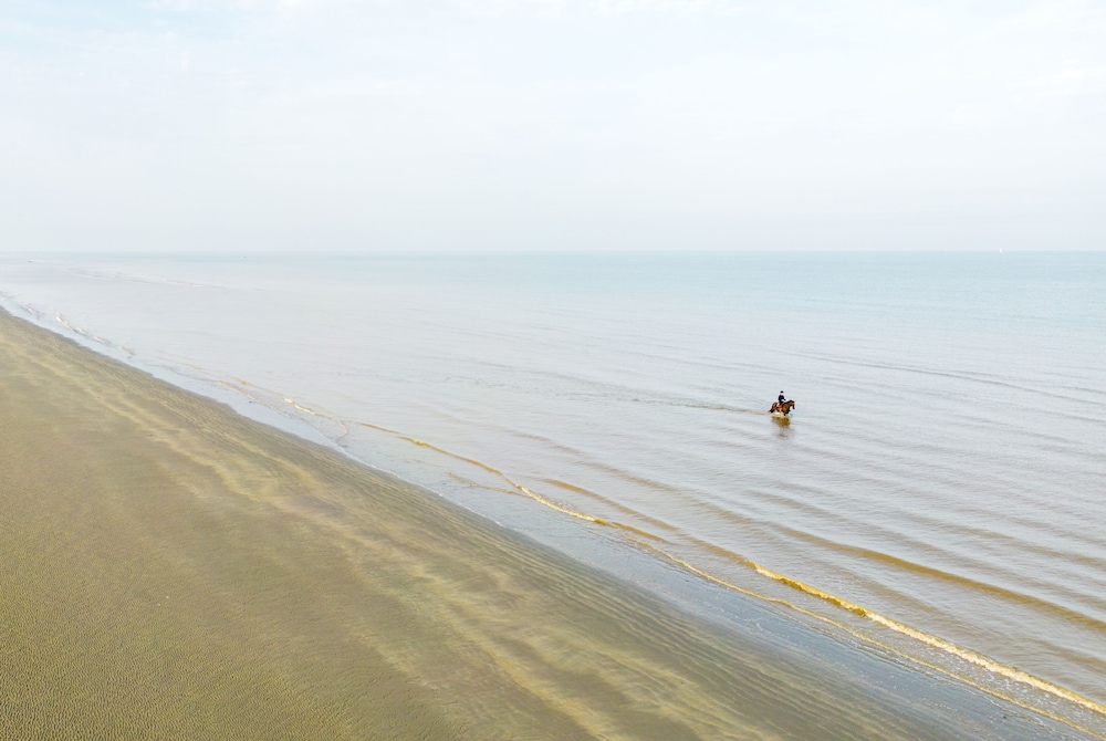 Sunparks Oostduinkerke aan zee