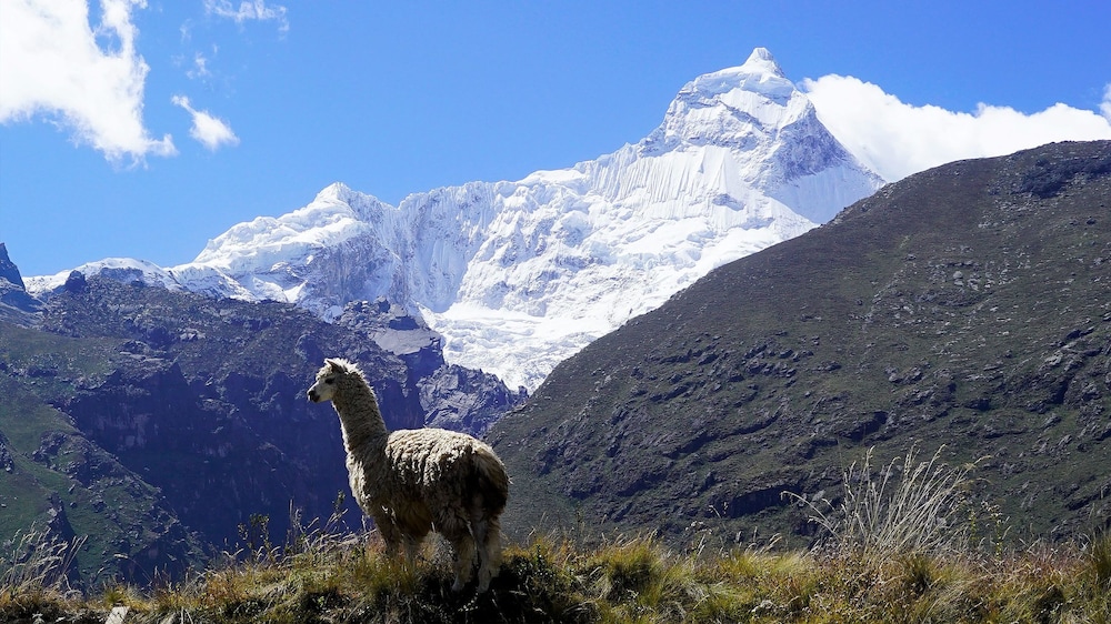 Llanganuco Mountain Lodge