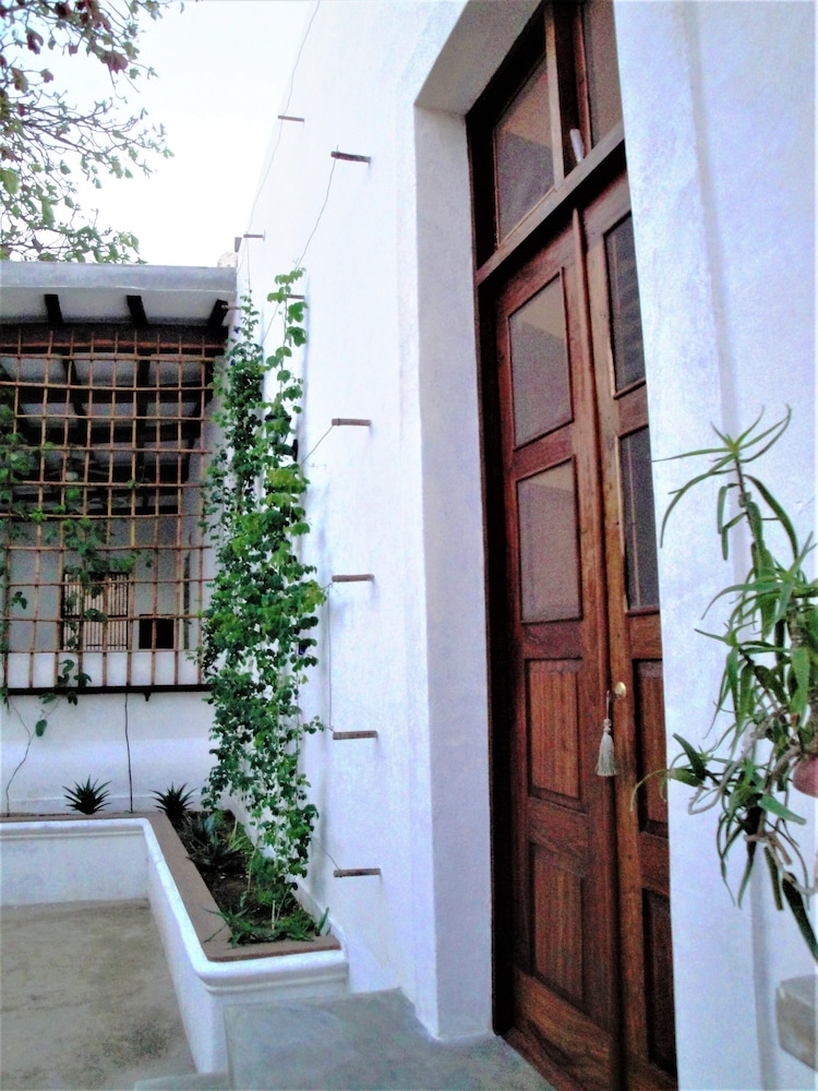 Jardim dos Aloés - Unique B&B, photo 89