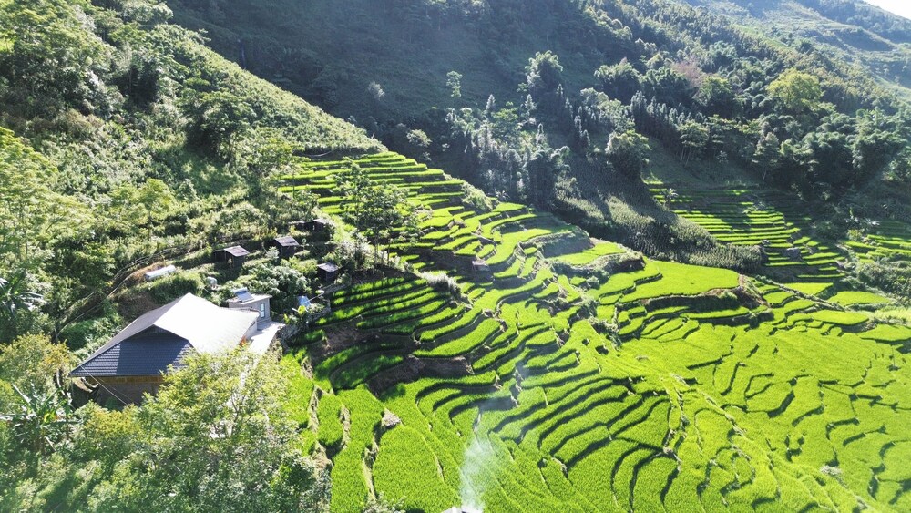 Bees Homestay Sapa & Trekking