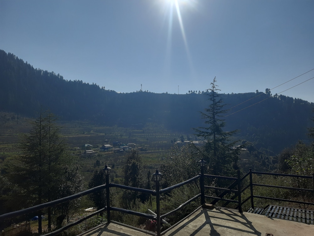 Himalayan Baseraa