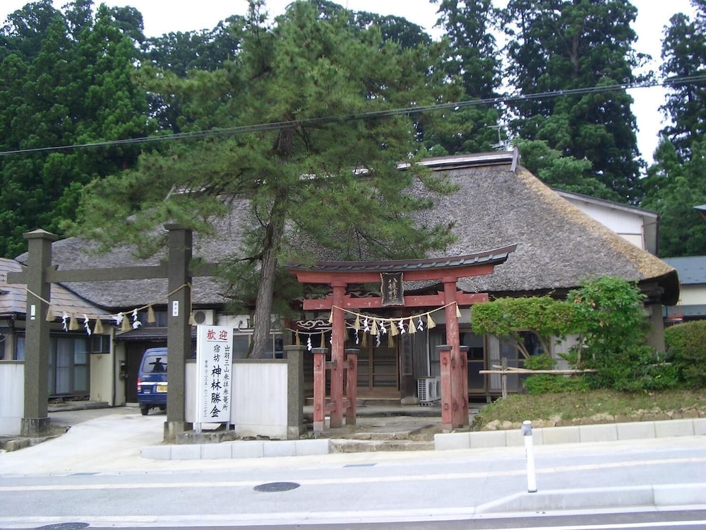 Photo 7