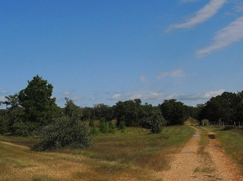 Night Bird Ranch