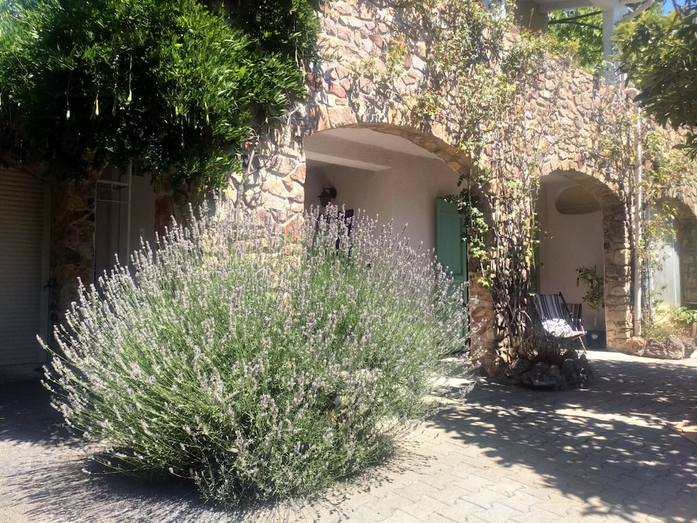 Photo 17