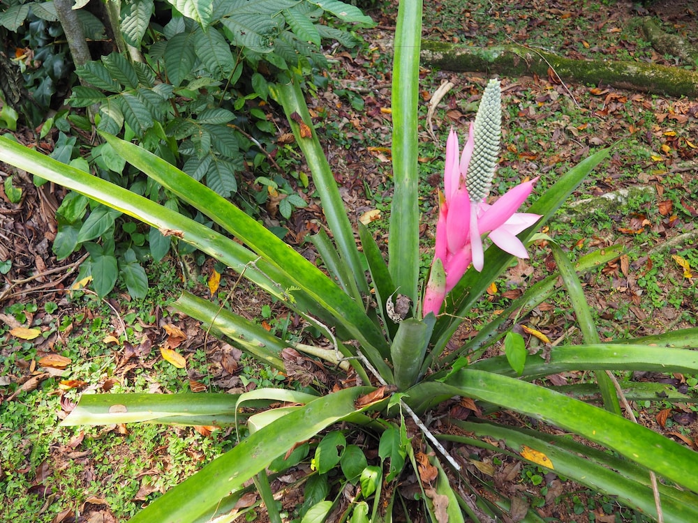 La Finca Chica
