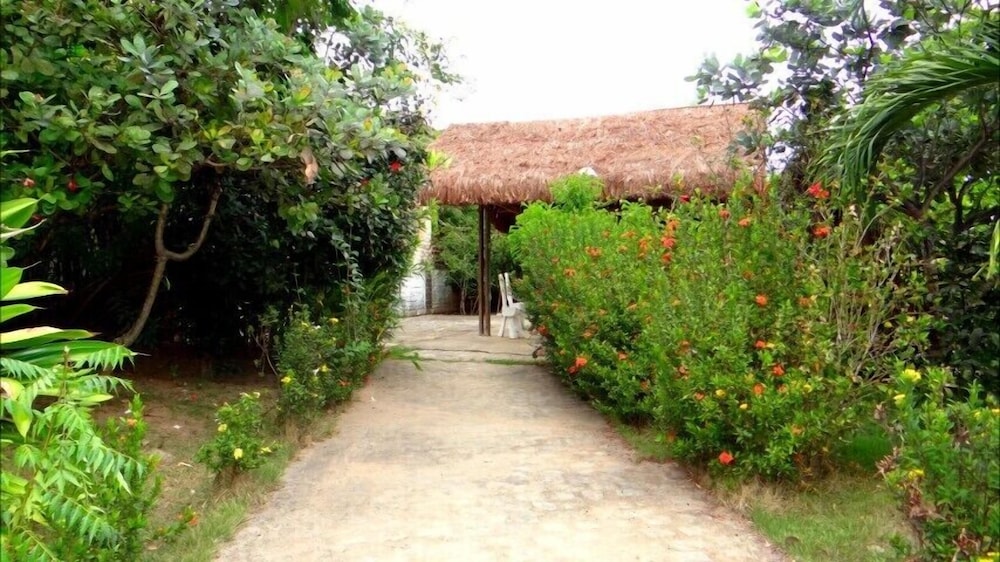 Photo 23