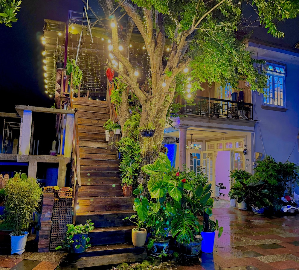 My Stay 1 Le Van Tam