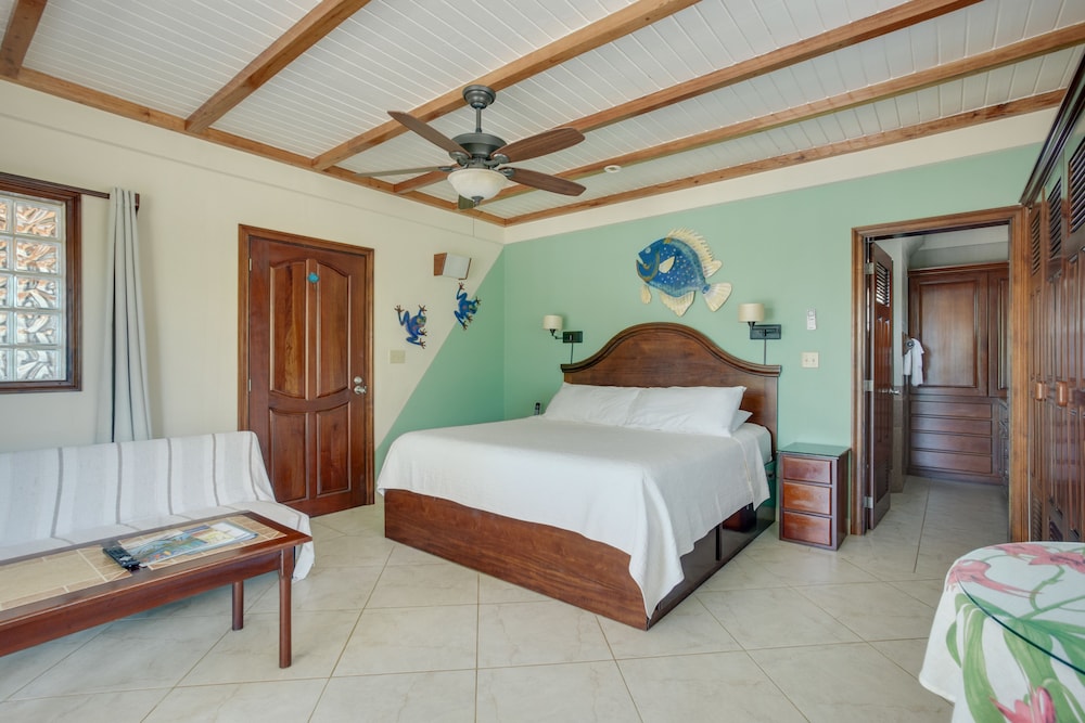 Buttonwood Belize