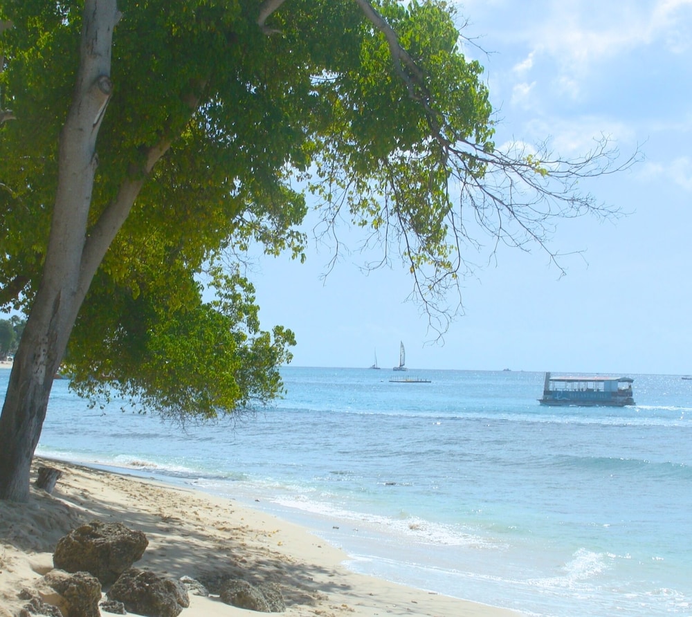 Coral Lane Beach Apartments