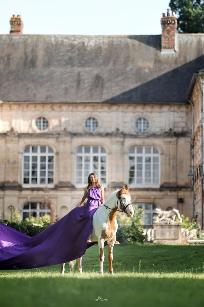 Château de Longecourt en Plaine