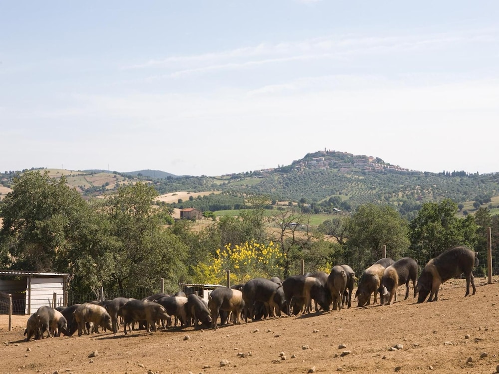 Agriturismo Boschetto di Montiano