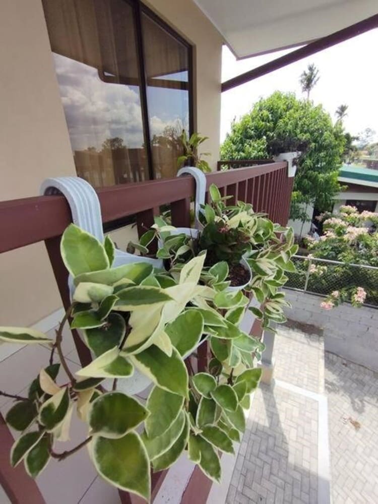 Arenal Cozy Apartment view 2