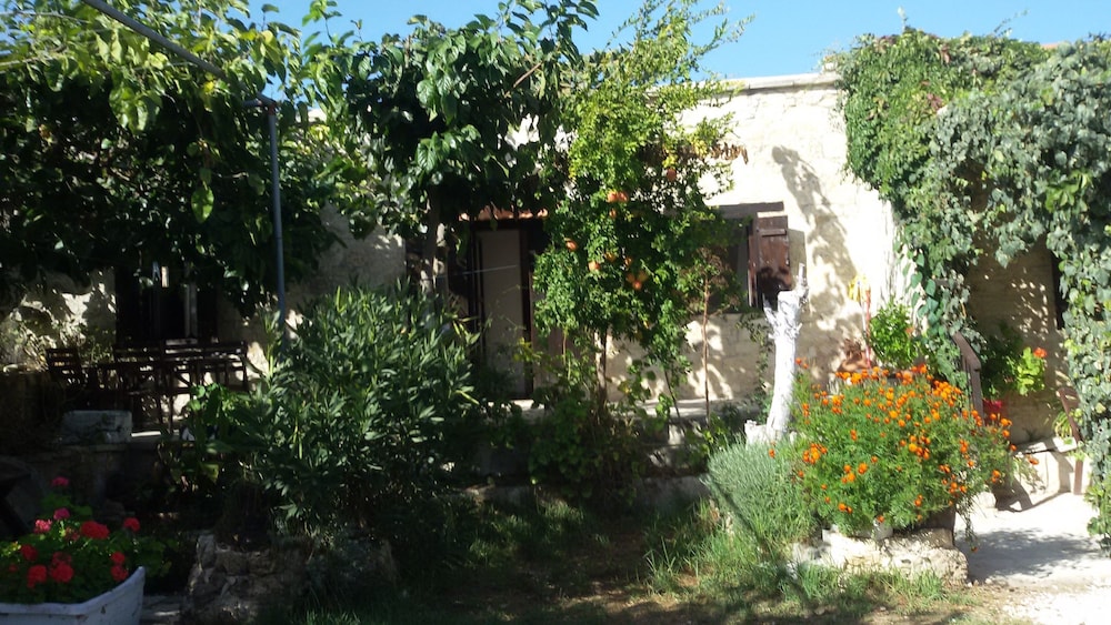 Photo 22