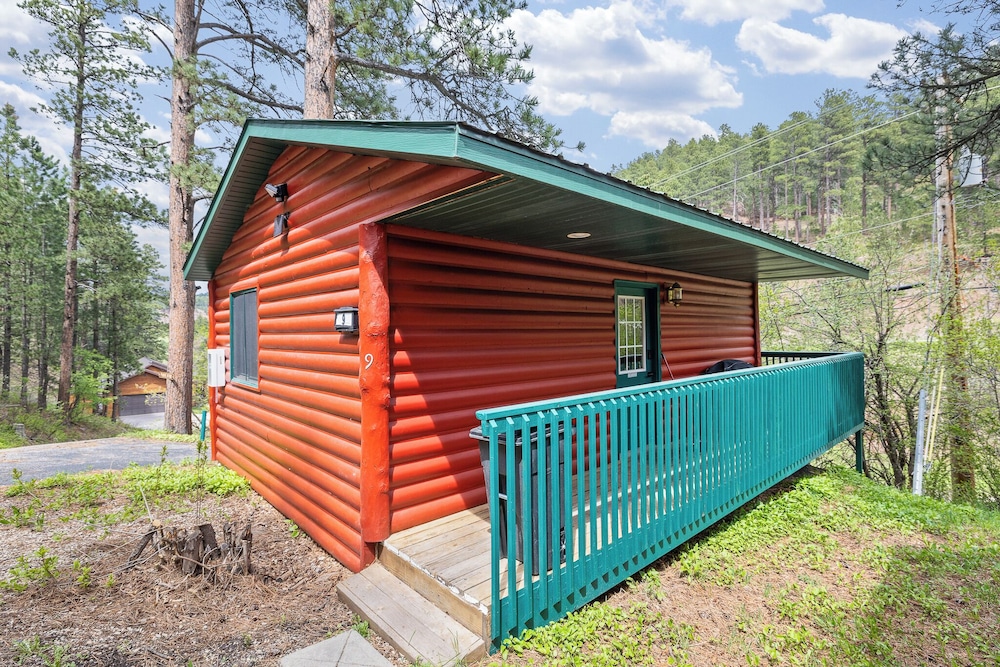 Ponderosa Pines