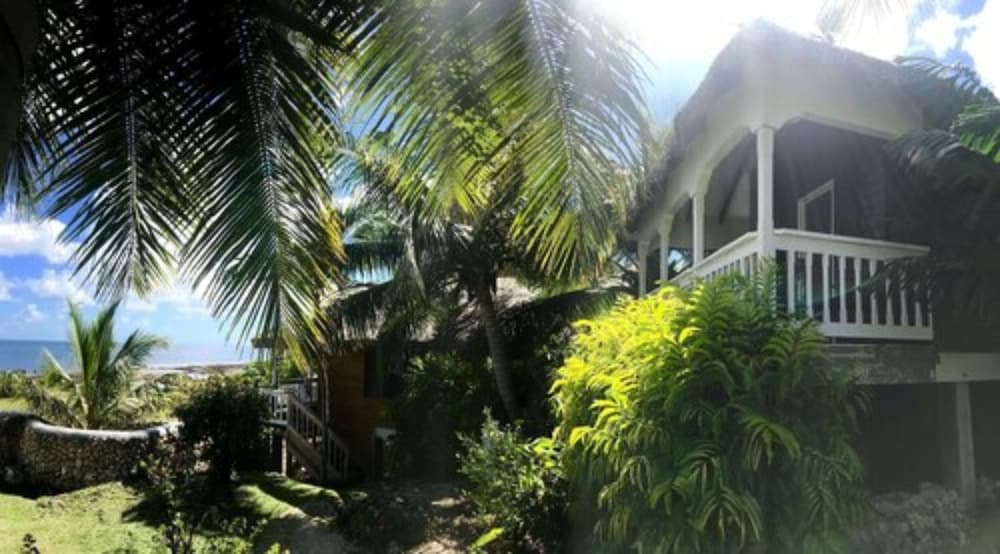 Tanna Evergreen Resort & Tours