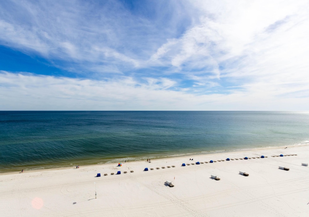 Tradewinds 1103
