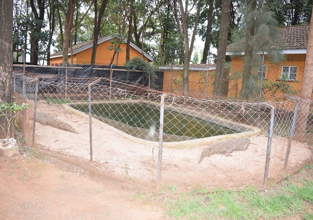 Mountainview Backpackers Kisumu