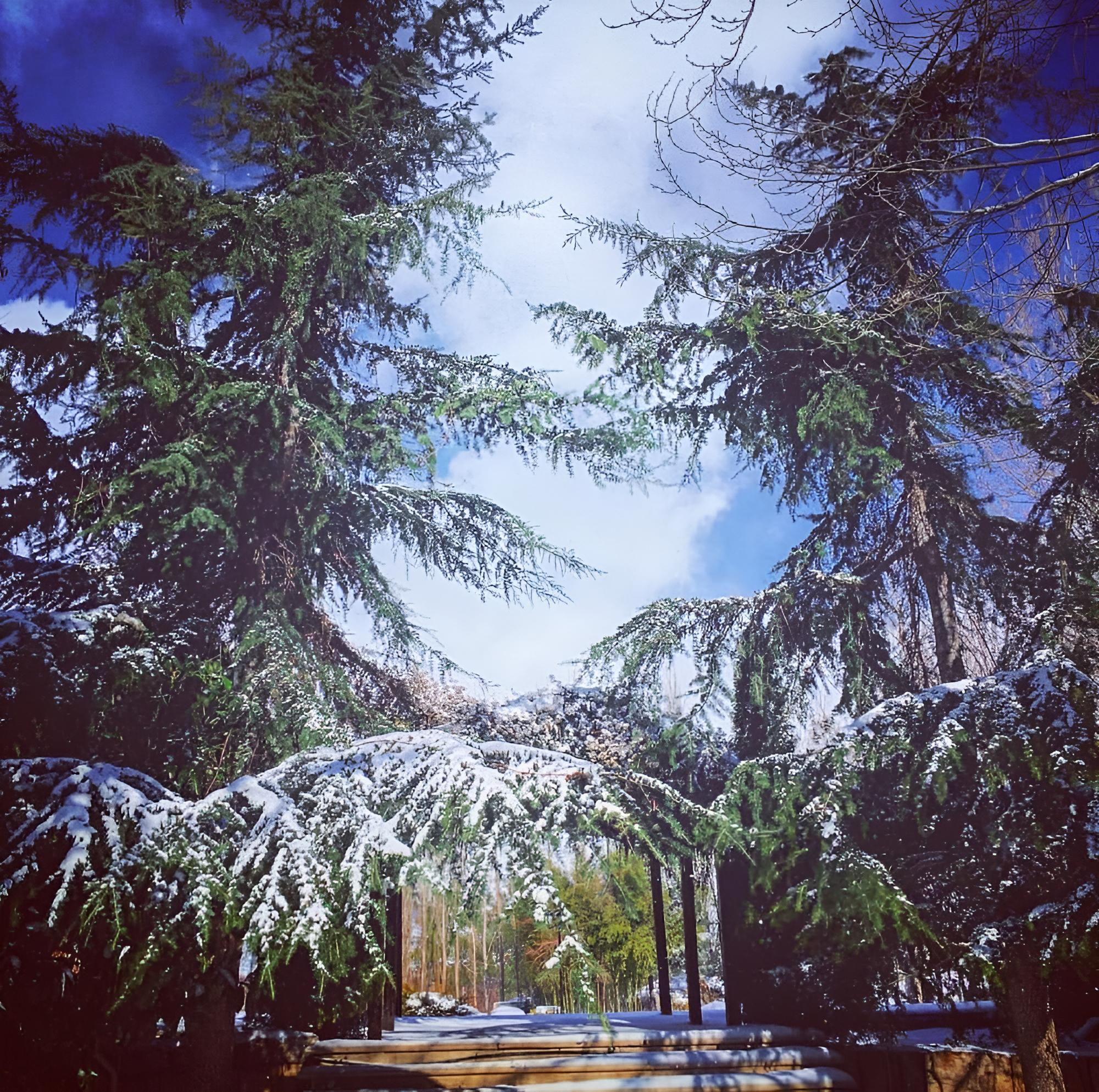 West Bekaa Country Club
