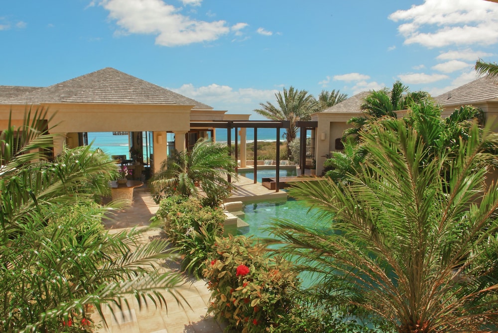 Anguilla's Bird of Paradise