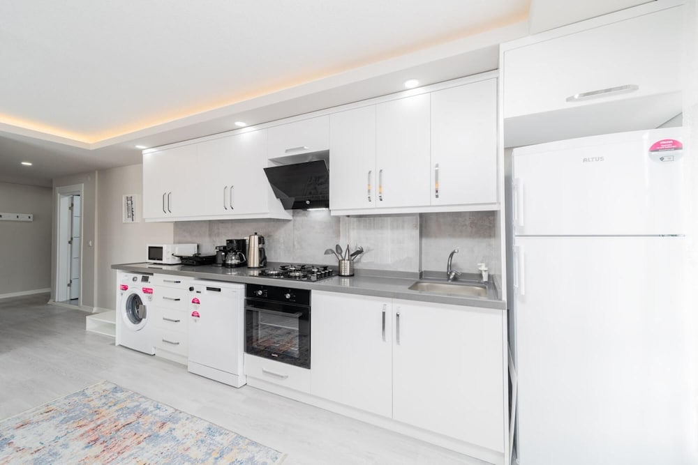 Modern and Fully Furnished 1 1 Flat in Antalya