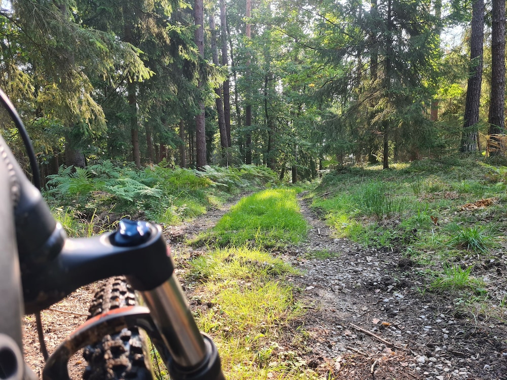 Frankenwald Chalets