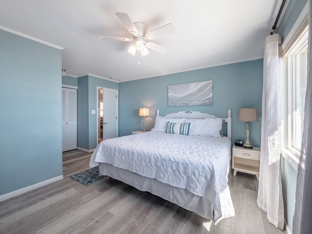 The Shark and the Seahorse by Topsail Realty