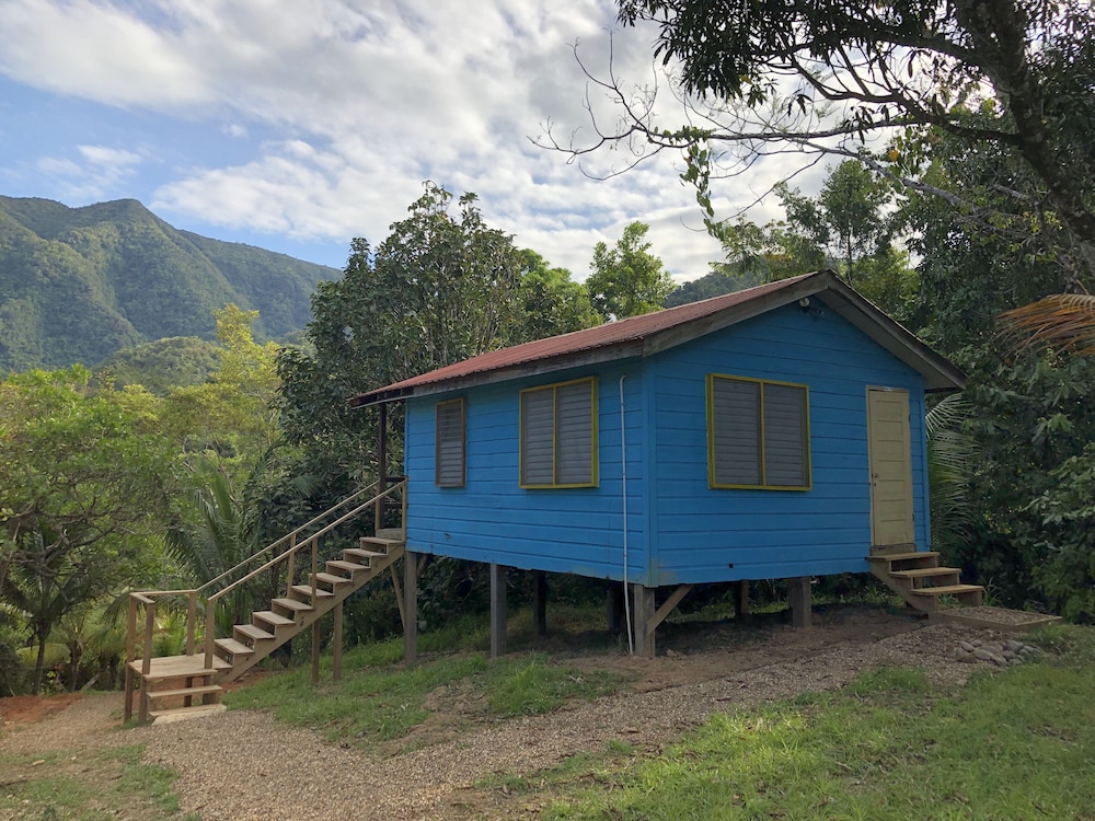 T.R.E.E.S Research Center and Eco Lodge view 3