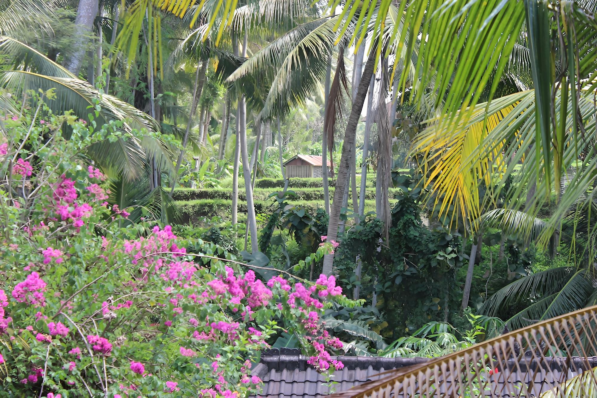 Gusti's Garden Bungalows