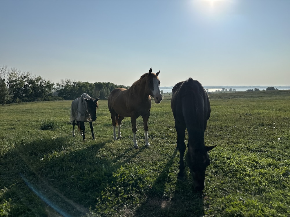 Rocking R Guest Ranch